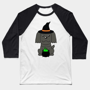 Cute black dog is a witch Baseball T-Shirt